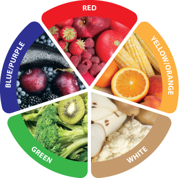 Nutrition color wheel — hover a segment to learn about each color group